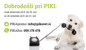 Pika kontakt Veterinarski center PIKA