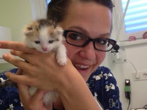 cepljenje-macjih-mladicev-pikavet